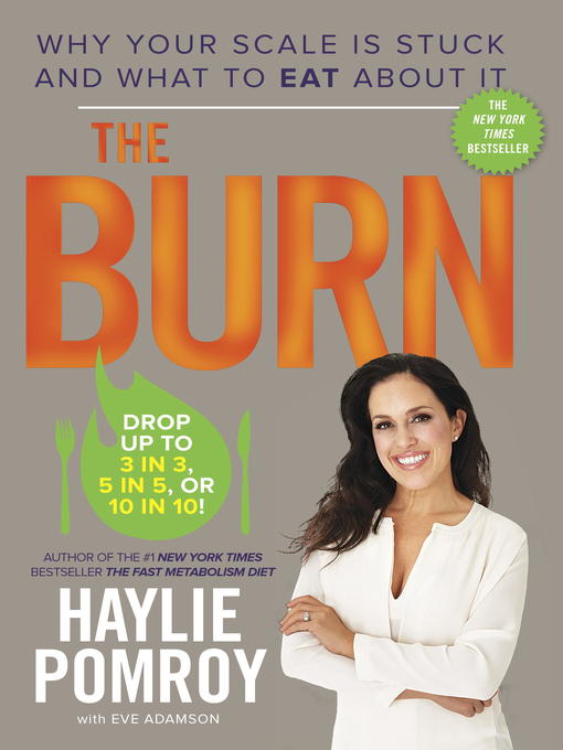 Title details for The Burn by Haylie Pomroy - Wait list